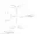 Fig. 23 - Protected dye-labeled reagents