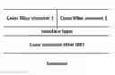 Fig. 01 - Arrays of optical devices comprising integrated bandpass filters and methods of production