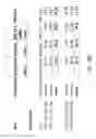 Fig. 25 - Bi-directional sequencing compositions and methods