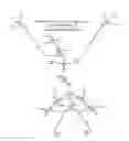 Fig. 11 - MODIFIED NUCLEOTIDE REAGENTS