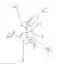 Fig. 12 - MODIFIED NUCLEOTIDE REAGENTS