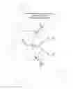 Fig. 13 - MODIFIED NUCLEOTIDE REAGENTS