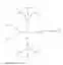 Fig. 29 - MODIFIED NUCLEOTIDE REAGENTS