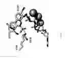 Fig. 30 - MODIFIED NUCLEOTIDE REAGENTS