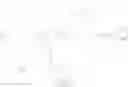 Fig. 91 - MODIFIED NUCLEOTIDE REAGENTS