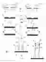 Fig. 10 - Detection of target nucleic acids using hybridization