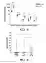 Fig. 14 - Methods and assays relating to Huntingtons disease and Parkinson's disease