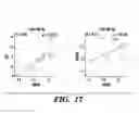 Fig. 22 - Methods and assays relating to Huntingtons disease and Parkinson's disease
