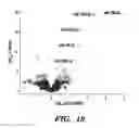 Fig. 24 - Methods and assays relating to Huntingtons disease and Parkinson's disease