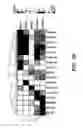 Fig. 29 - Methods and assays relating to Huntingtons disease and Parkinson's disease