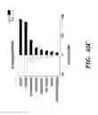 Fig. 32 - Methods and assays relating to Huntingtons disease and Parkinson's disease