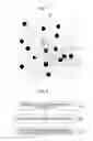 Fig. 07 - METHOD FOR INSPECTING CHROMOSOME OF FETUS