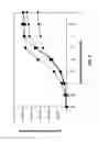 Fig. 03 - Detection of West Nile virus nucleic acids in the viral 3′ non-coding region