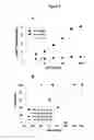 Fig. 09 - Protease-deficient bacillus anthracis