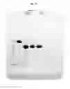 Fig. 15 - Protease-deficient bacillus anthracis