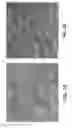 Fig. 02 - High Strength Iron-Based Alloys, Processes for Making Same, and Articles Resulting Therefrom
