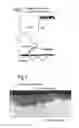 Fig. 05 - COATING METHOD AND COATED SUBSTRATE