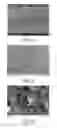 Fig. 03 - Metal-based/diamond laser composite coating and preparation method thereof