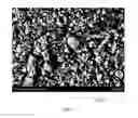 Fig. 06 - Coated metal sheet, method for manufacturing same, and exterior building material