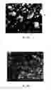 Fig. 07 - Coated metal sheet, method for manufacturing same, and exterior building material