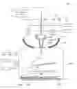 Fig. 01 - SPINNING APPARATUS, NOZZLE HEAD AND SPINNING METHOD