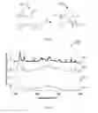 Fig. 03 - METAL-ORGANIC FRAMEWORK COMPOSITES, AND METHODS OF SYNTHESIS THEREOF