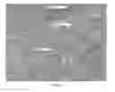 Fig. 07 - Wonder Fabric