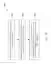 Fig. 09 - Apparatus and method for coupling work tool to a machine