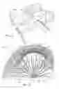Fig. 19 - ARCHED BUILDING STRUCTURE, MODULAR BUILDING BLOCKS, AND METHOD OF CONSTRUCTING AN ARCHED BUILDING STRUCTURE