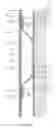 Fig. 02 - Annular barrier completion with inductive system