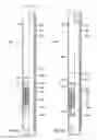 Fig. 07 - Downhole Tool having Slips Set by Stacked Rings