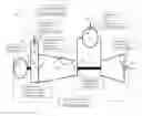 Fig. 01 - Indirectly determining exhaust gas parameters