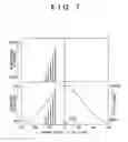 Fig. 08 - FUEL INJECTION CONTROL APPARATUS FOR INTERNAL COMBUSTION ENGINE