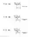 Fig. 09 - FUEL INJECTION CONTROL APPARATUS FOR INTERNAL COMBUSTION ENGINE