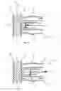 Fig. 01 - Piston pump