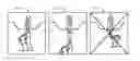 Fig. 01 - Method for installing an anchor