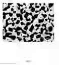 Fig. 06 - Processing of alpha-beta titanium alloys