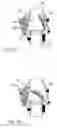 Fig. 08 - Valve for fire protection systems and methods of control therefore