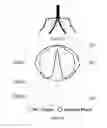 Fig. 03 - Microstructure-based diffusers for creating batwing lighting patterns