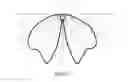 Fig. 05 - Microstructure-based diffusers for creating batwing lighting patterns