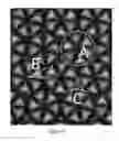 Fig. 34 - Microstructure-based diffusers for creating batwing lighting patterns