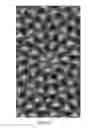 Fig. 37 - Microstructure-based diffusers for creating batwing lighting patterns