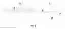 Fig. 10 - LINE CHARGE