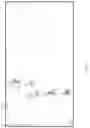 Fig. 09 - Road density calculation