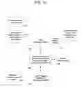 Fig. 12 - Scale-based user-physiological data hierarchy service apparatuses and methods