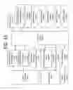 Fig. 29 - Scale-based user-physiological data hierarchy service apparatuses and methods