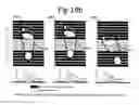 Fig. 33 - Scale-based user-physiological data hierarchy service apparatuses and methods