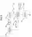 Fig. 15 - SCALE-BASED BIOMETRIC AUTHORIZATION OF MULTIPLE COMMUNICATION MODES OF THE SCALE