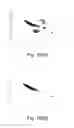 Fig. 09 - OPTICAL WAVEFRONT MEASURING DEVICE AND METHOD