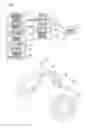 Fig. 02 - PORTABLE DIAGNOSIS DATA MEASUREMENT TRANSMISSION DEVICE